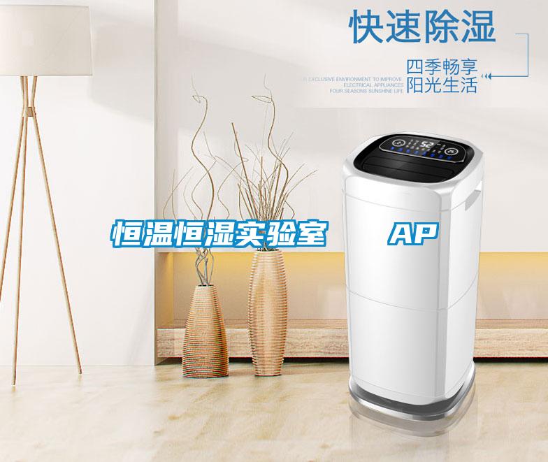恒溫恒濕實(shí)驗(yàn)室   AP