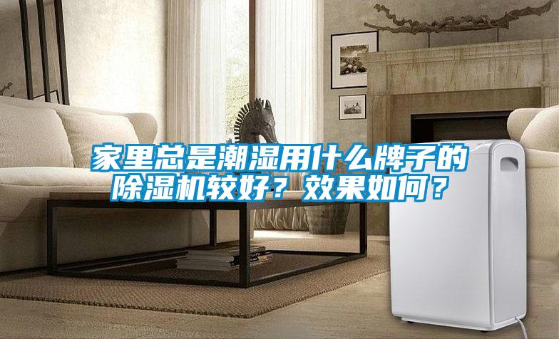 家里總是潮濕用什么牌子的除濕機(jī)較好？效果如何？