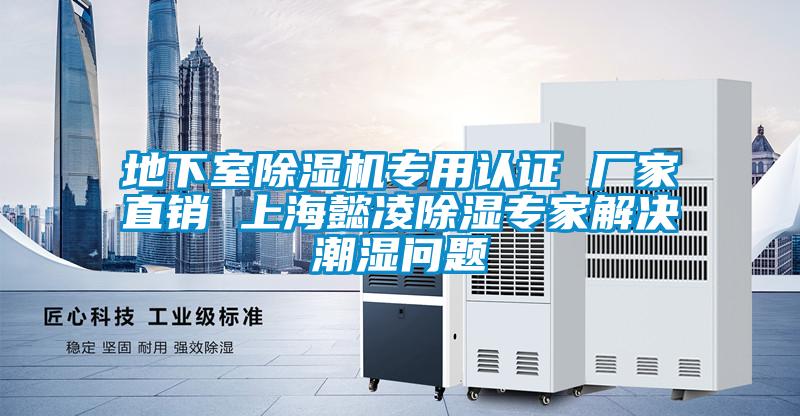 地下室除濕機(jī)專用認(rèn)證 廠家直銷 上海懿凌除濕專家解決潮濕問(wèn)題