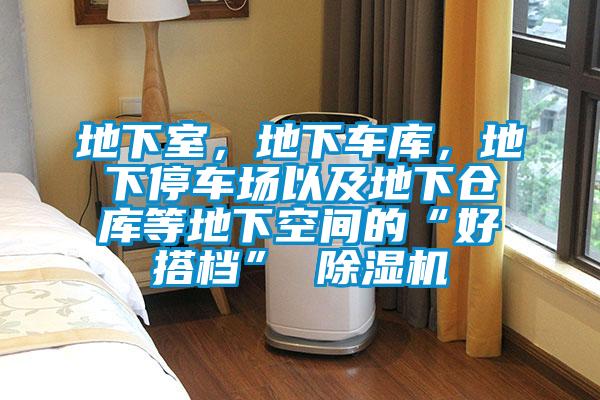 地下室，地下車(chē)庫(kù)，地下停車(chē)場(chǎng)以及地下倉(cāng)庫(kù)等地下空間的“好搭檔” 除濕機(jī)