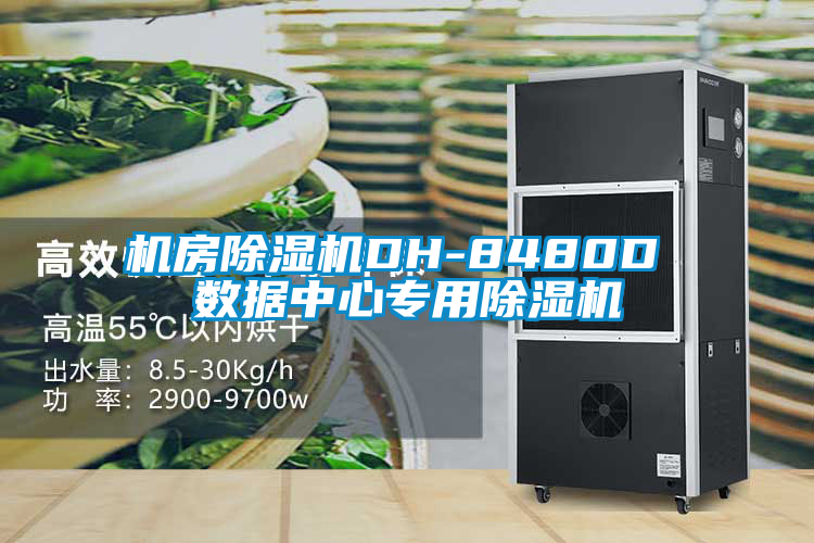 機房除濕機DH-8480D 數(shù)據(jù)中心專用除濕機