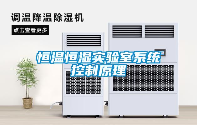 恒溫恒濕實(shí)驗(yàn)室系統(tǒng)控制原理