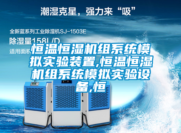 恒溫恒濕機(jī)組系統(tǒng)模擬實(shí)驗(yàn)裝置,恒溫恒濕機(jī)組系統(tǒng)模擬實(shí)驗(yàn)設(shè)備,恒
