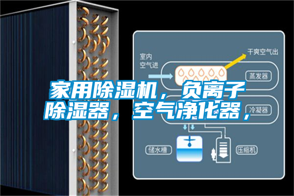 家用除濕機，負離子除濕器，空氣凈化器，