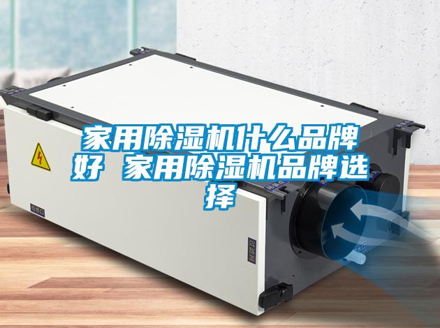 家用除濕機(jī)什么品牌好 家用除濕機(jī)品牌選擇