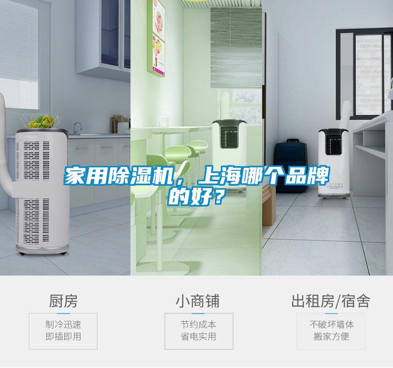家用除濕機(jī)，上海哪個(gè)品牌的好？