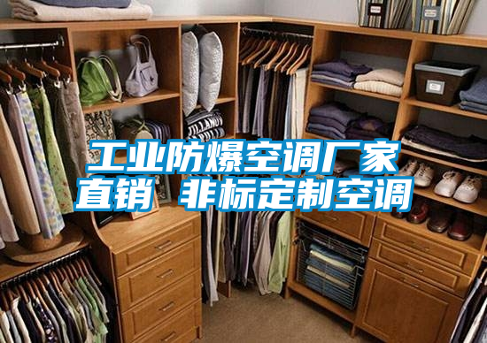 工業(yè)防爆空調(diào)廠家直銷 非標定制空調(diào)