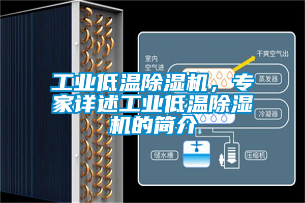 工業(yè)低溫除濕機，專家詳述工業(yè)低溫除濕機的簡介