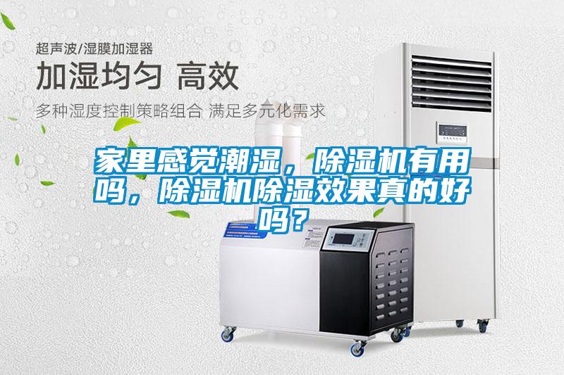 家里感覺潮濕，除濕機(jī)有用嗎，除濕機(jī)除濕效果真的好嗎？