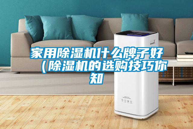 家用除濕機(jī)什么牌子好（除濕機(jī)的選購技巧你知