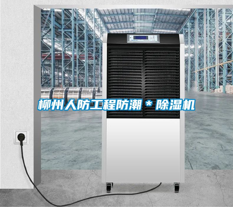 柳州人防工程防潮＊除濕機(jī)