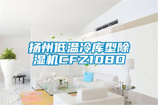揚(yáng)州低溫冷庫(kù)型除濕機(jī)CFZ10BD