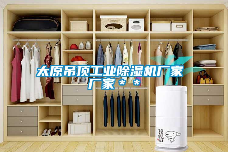 太原吊頂工業(yè)除濕機廠家 廠家＊＊