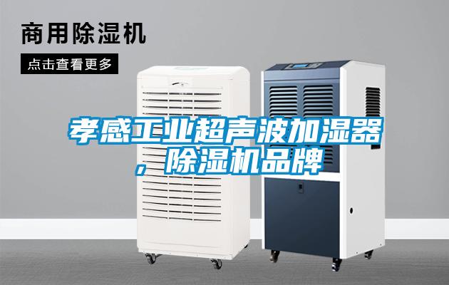 孝感工業(yè)超聲波加濕器，除濕機品牌