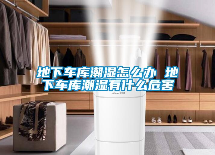 地下車庫(kù)潮濕怎么辦 地下車庫(kù)潮濕有什么危害