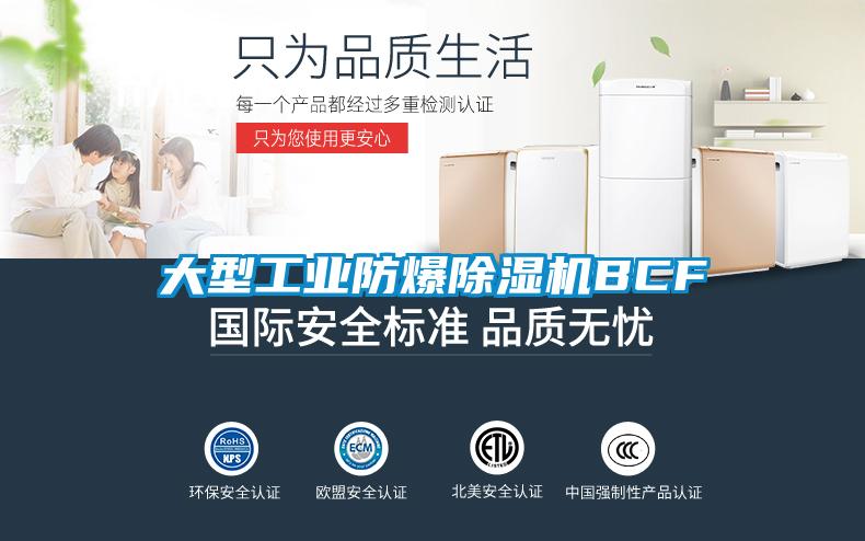 大型工業(yè)防爆除濕機(jī)BCF