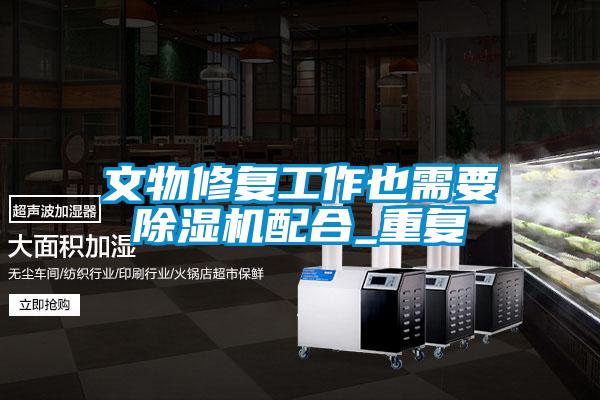 文物修復(fù)工作也需要除濕機(jī)配合_重復(fù)