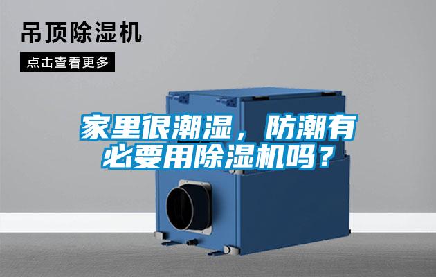 家里很潮濕，防潮有必要用除濕機(jī)嗎？