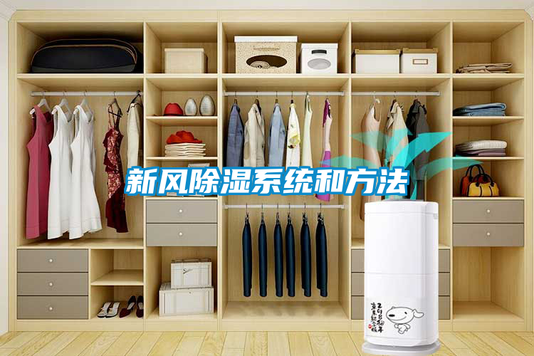 新風(fēng)除濕系統(tǒng)和方法