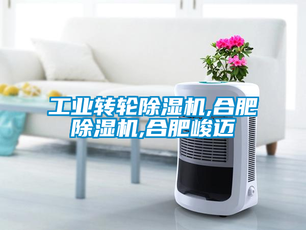 工業(yè)轉(zhuǎn)輪除濕機(jī),合肥除濕機(jī),合肥峻邁