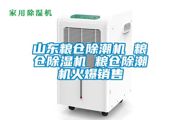 山東糧倉除潮機(jī) 糧倉除濕機(jī) 糧倉除潮機(jī)火爆銷售