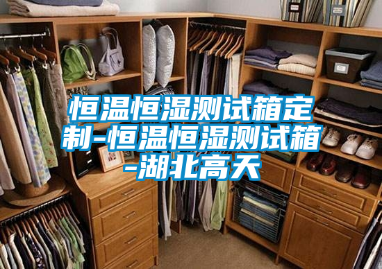 恒溫恒濕測試箱定制-恒溫恒濕測試箱-湖北高天