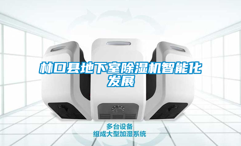 林口縣地下室除濕機(jī)智能化發(fā)展