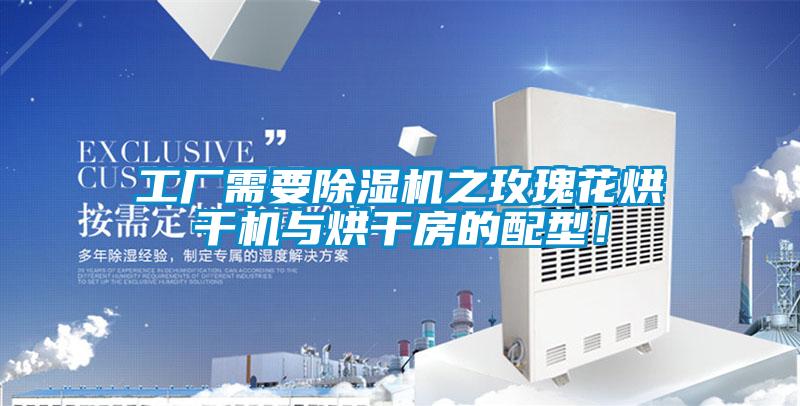 工廠需要除濕機(jī)之玫瑰花烘干機(jī)與烘干房的配型！