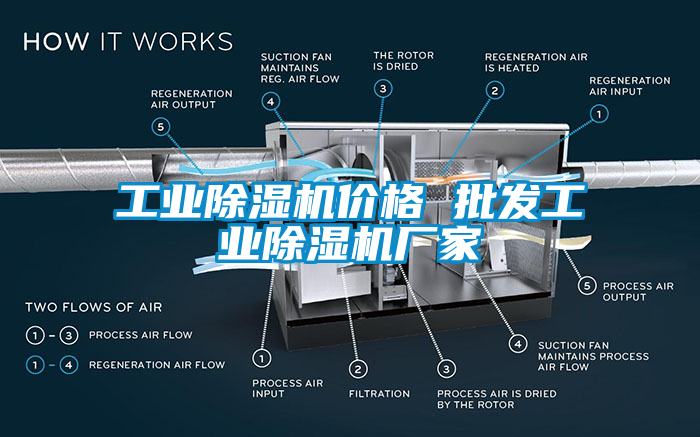 工業(yè)除濕機(jī)價(jià)格 批發(fā)工業(yè)除濕機(jī)廠家