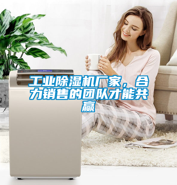 工業(yè)除濕機(jī)廠家，合力銷售的團(tuán)隊(duì)才能共贏