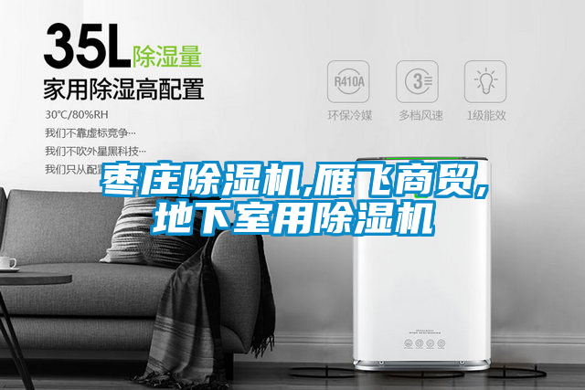 棗莊除濕機(jī),雁飛商貿(mào),地下室用除濕機(jī)
