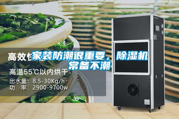 家裝防潮很重要，除濕機(jī)常備不潮