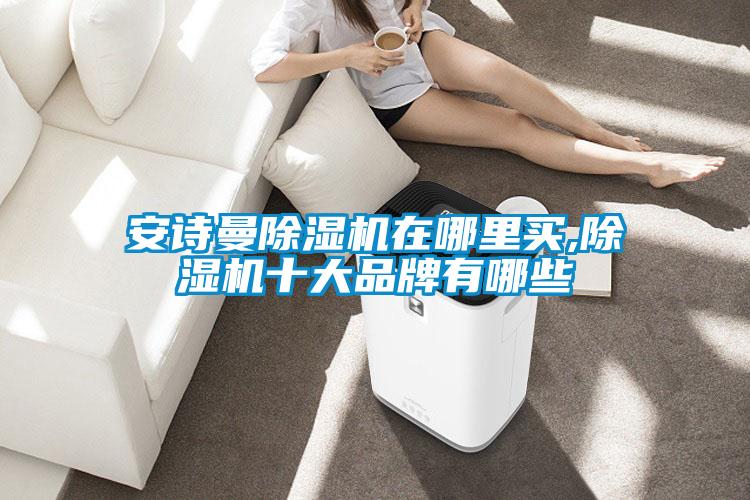 安詩曼除濕機(jī)在哪里買,除濕機(jī)十大品牌有哪些