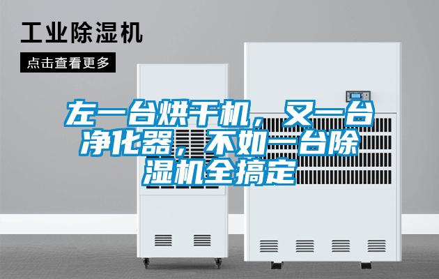左一臺烘干機，又一臺凈化器，不如一臺除濕機全搞定