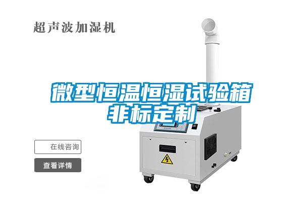 微型恒溫恒濕試驗(yàn)箱非標(biāo)定制