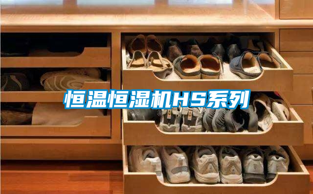 恒溫恒濕機(jī)HS系列