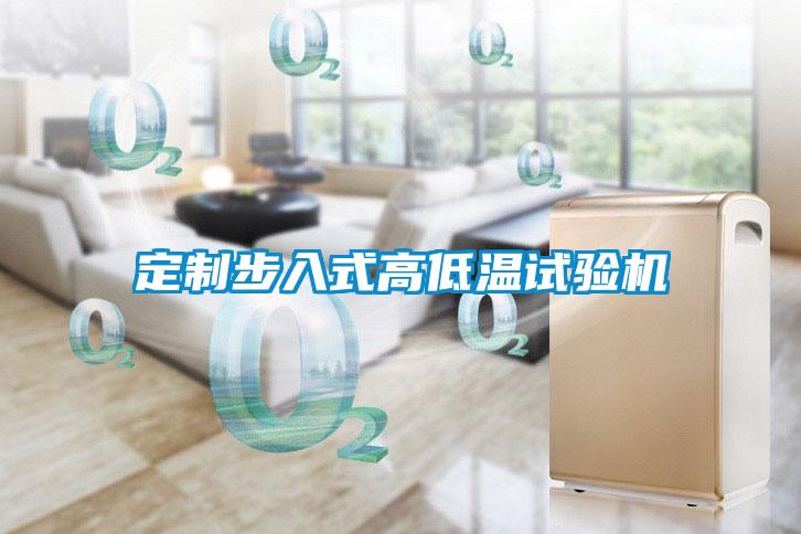 定制步入式高低溫試驗(yàn)機(jī)