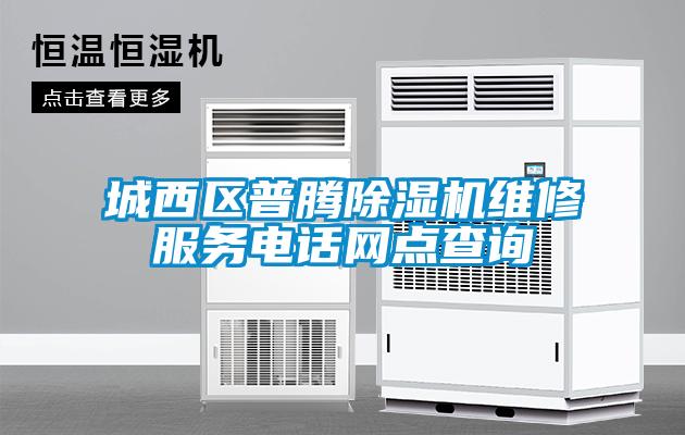 城西區(qū)普騰除濕機(jī)維修服務(wù)電話網(wǎng)點查詢