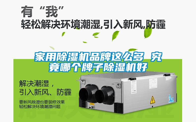 家用除濕機(jī)品牌這么多 究竟哪個牌子除濕機(jī)好