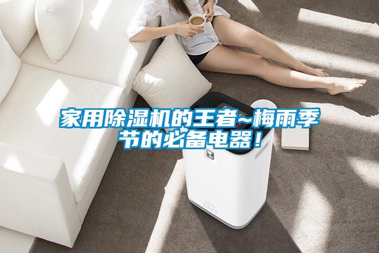 家用除濕機(jī)的王者~梅雨季節(jié)的必備電器！