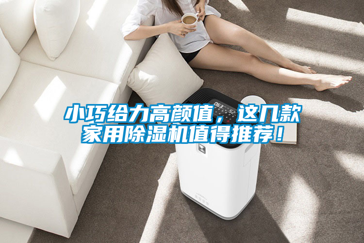 小巧給力高顏值，這幾款家用除濕機(jī)值得推薦！