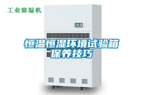 恒溫恒濕環(huán)境試驗箱保養(yǎng)技巧