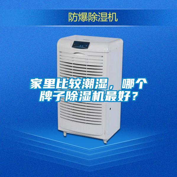 家里比較潮濕，哪個牌子除濕機最好？