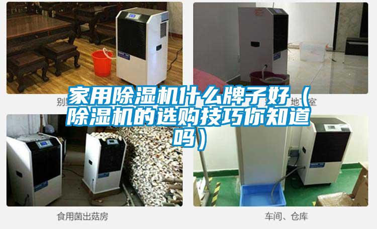 家用除濕機(jī)什么牌子好（除濕機(jī)的選購技巧你知道嗎）