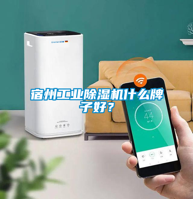 宿州工業(yè)除濕機什么牌子好？