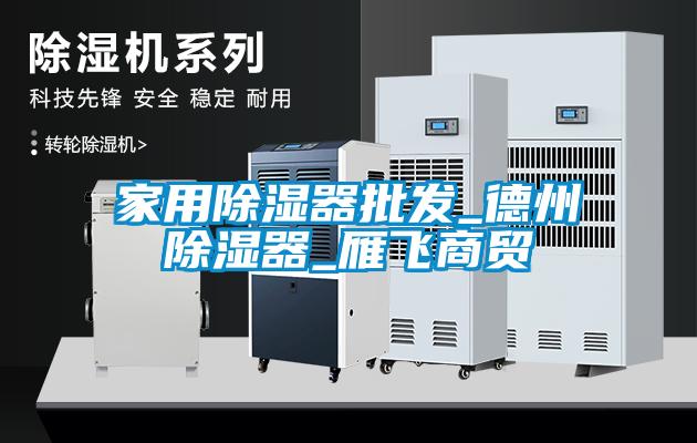家用除濕器批發(fā)_德州除濕器_雁飛商貿(mào)