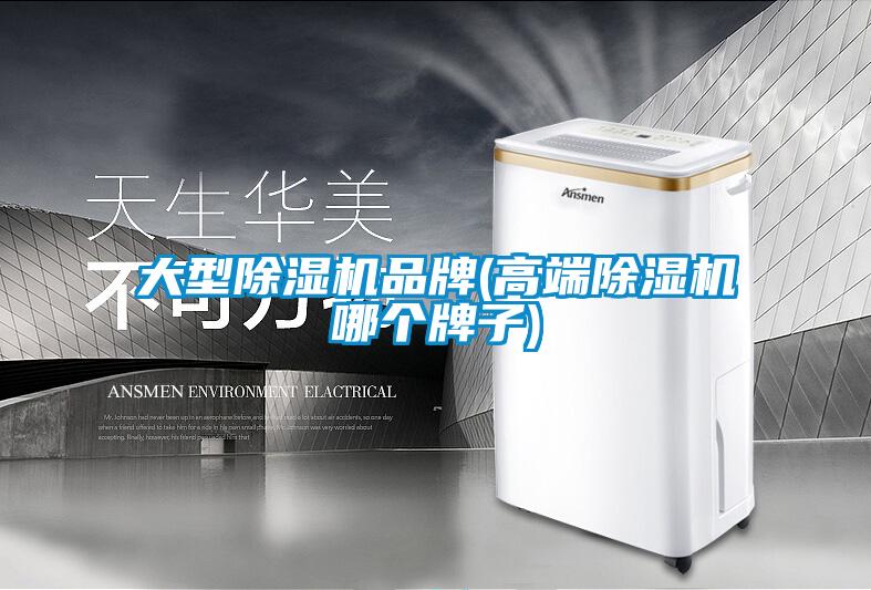 大型除濕機(jī)品牌(高端除濕機(jī)哪個(gè)牌子)