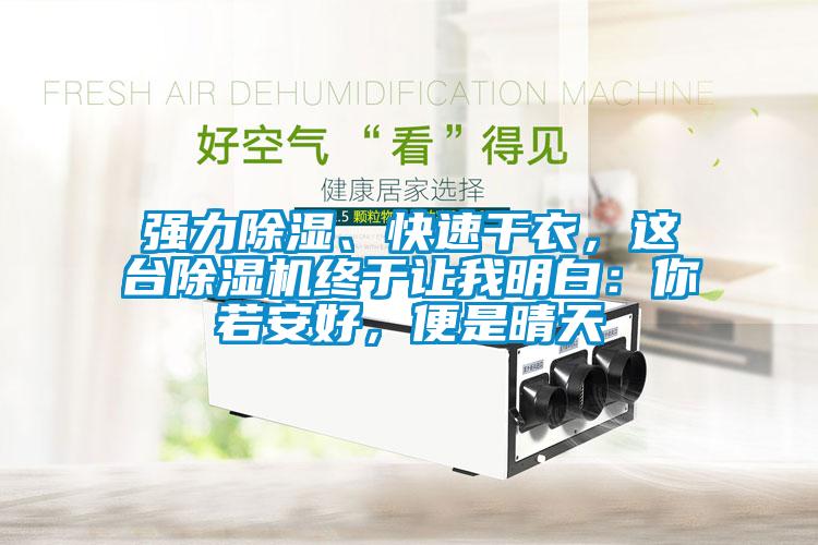 強力除濕、快速干衣，這臺除濕機終于讓我明白：你若安好，便是晴天