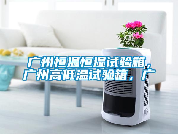 廣州恒溫恒濕試驗(yàn)箱，廣州高低溫試驗(yàn)箱，廣