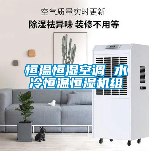 恒溫恒濕空調(diào) 水冷恒溫恒濕機(jī)組